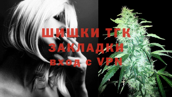 дмт Аркадак