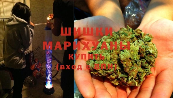 дмт Аркадак