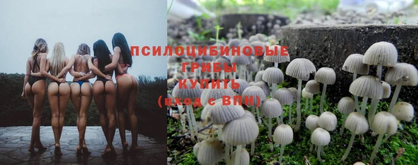 дмт Аркадак