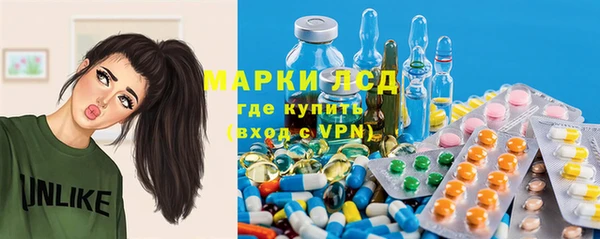 дмт Аркадак
