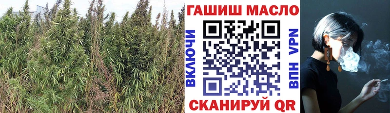 ТГК Wax  хочу наркоту  Дмитров 