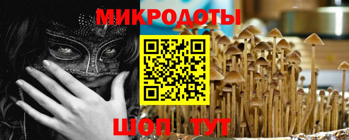 Дмитров  Псилоцибиновые грибы GOLDEN TEACHER  Вход с VPN 