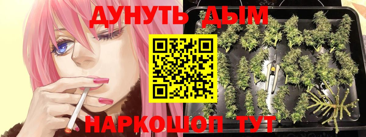 Марихуана конопля  Бошки марихуана LSD WEED  Вход с VPN  Марихуана семена  Дмитров 